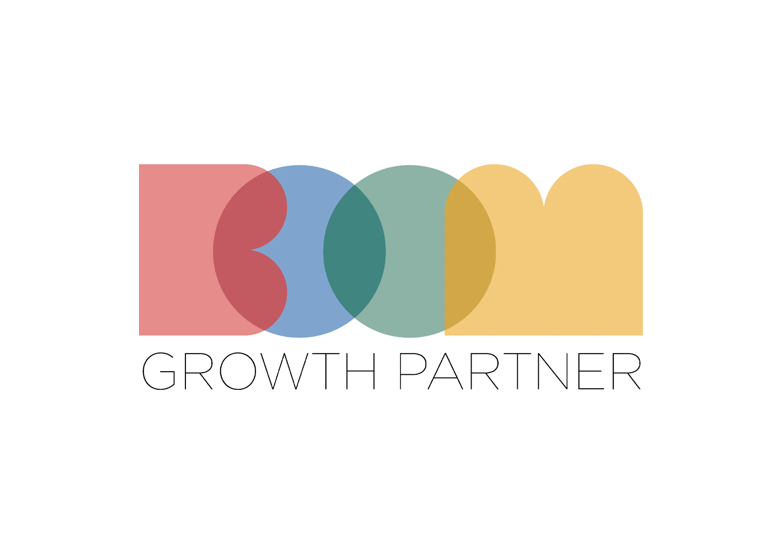 Boom Growth Partner