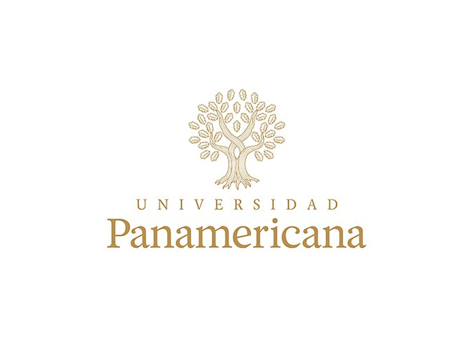 Universidad Panamericana